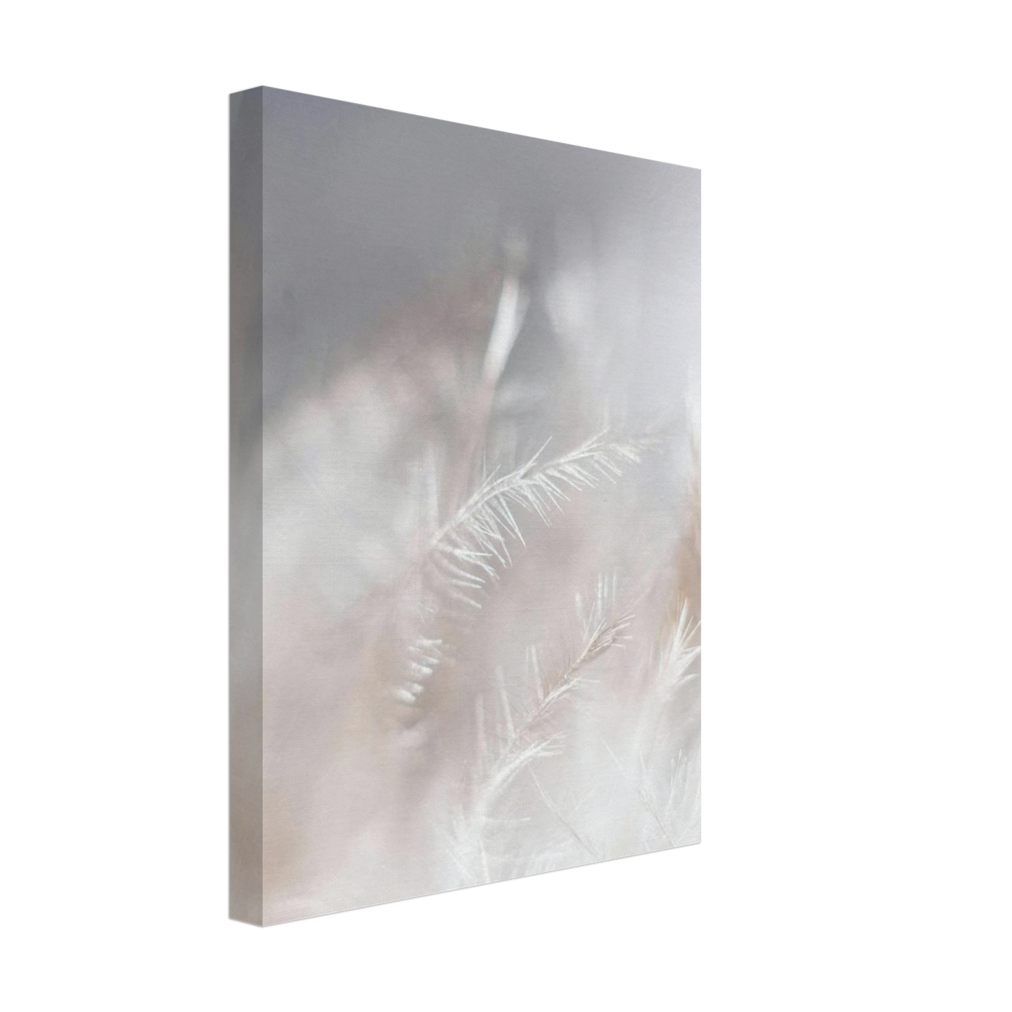 cd90e91a-01c5-4507-bc09-a673d800b00d