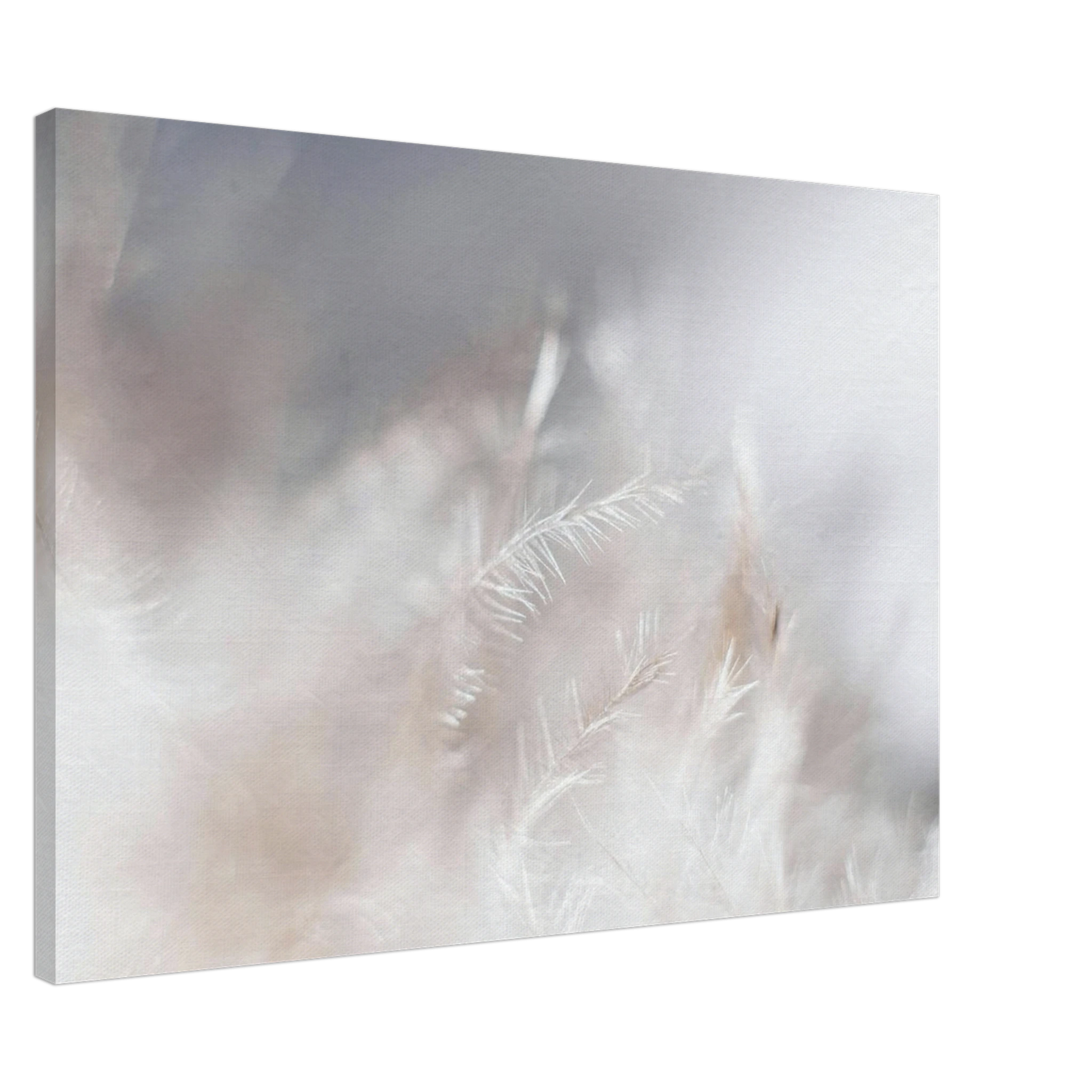 d382feac-bf24-4144-84bb-e2697c673eb7