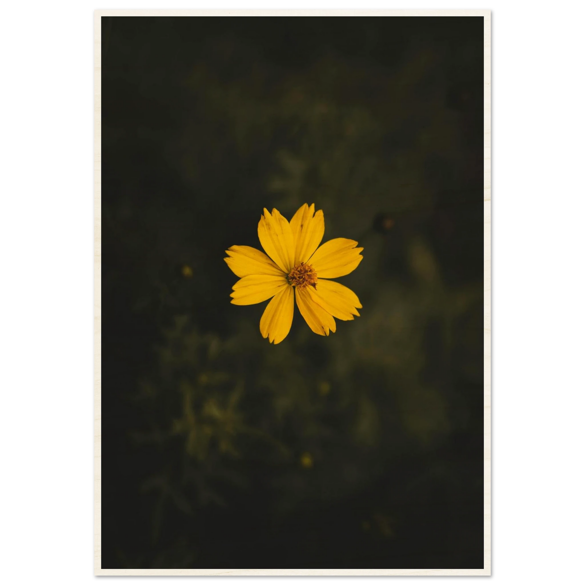 d620f042-12a0-47e8-84c3-da5ff31c973c