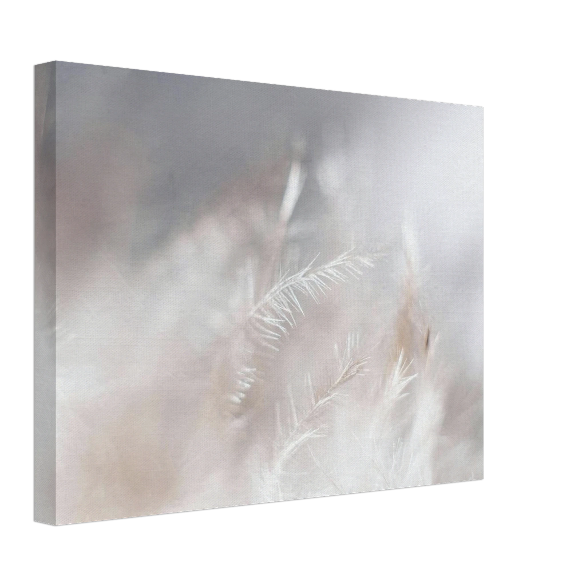 efa34de3-2e5d-4717-9d09-8cc7bfa3a78c