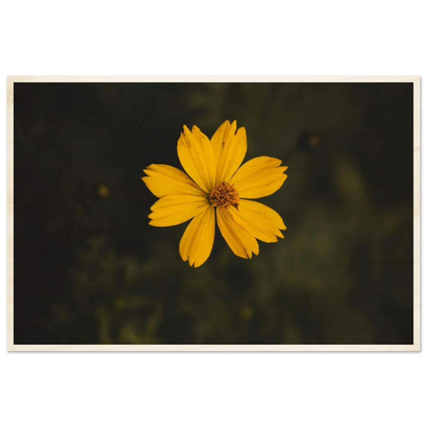 f713c821-3b50-4ef9-9f0a-b2a442bf11f4