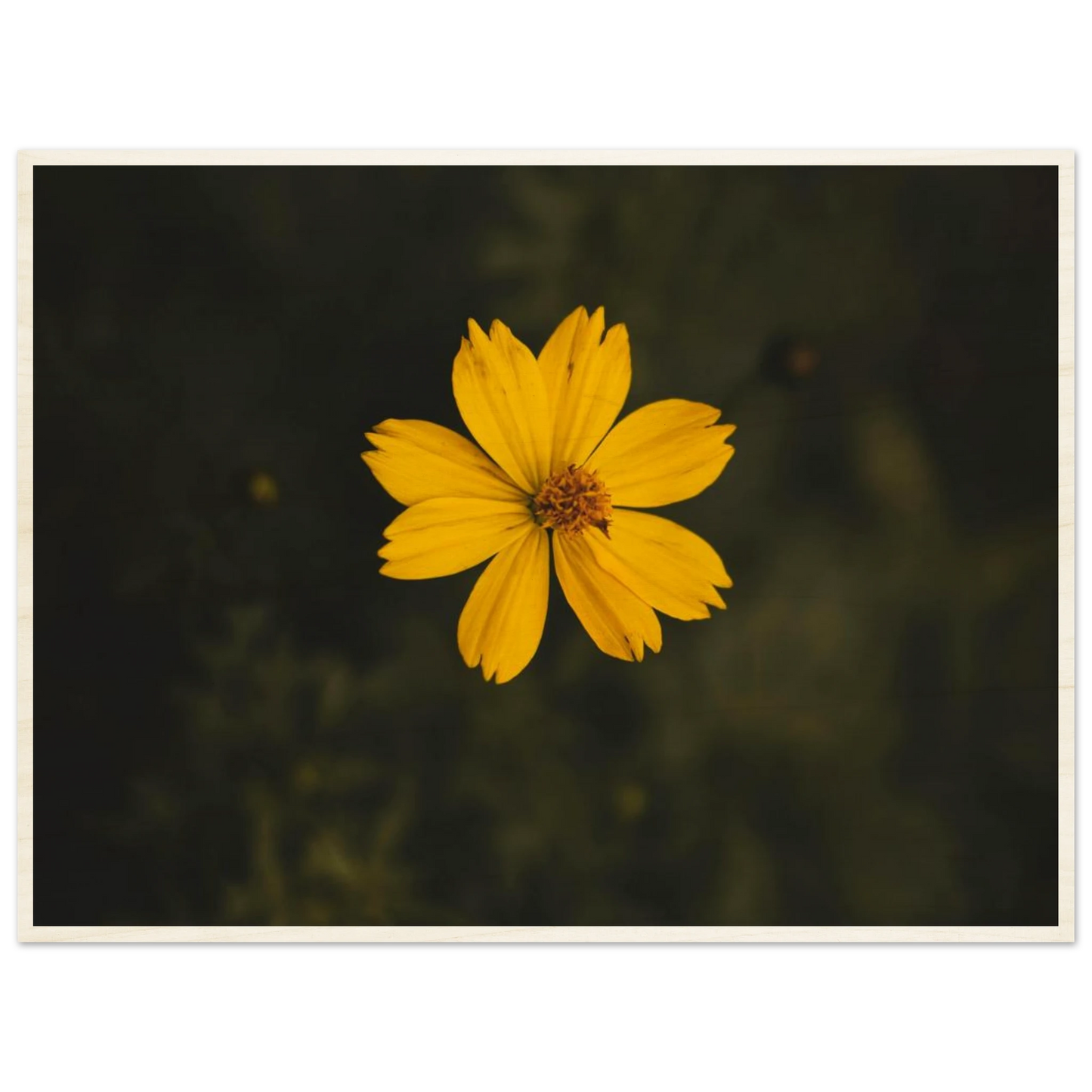 ff311f87-9b79-4fe7-a600-f03033e4a41b