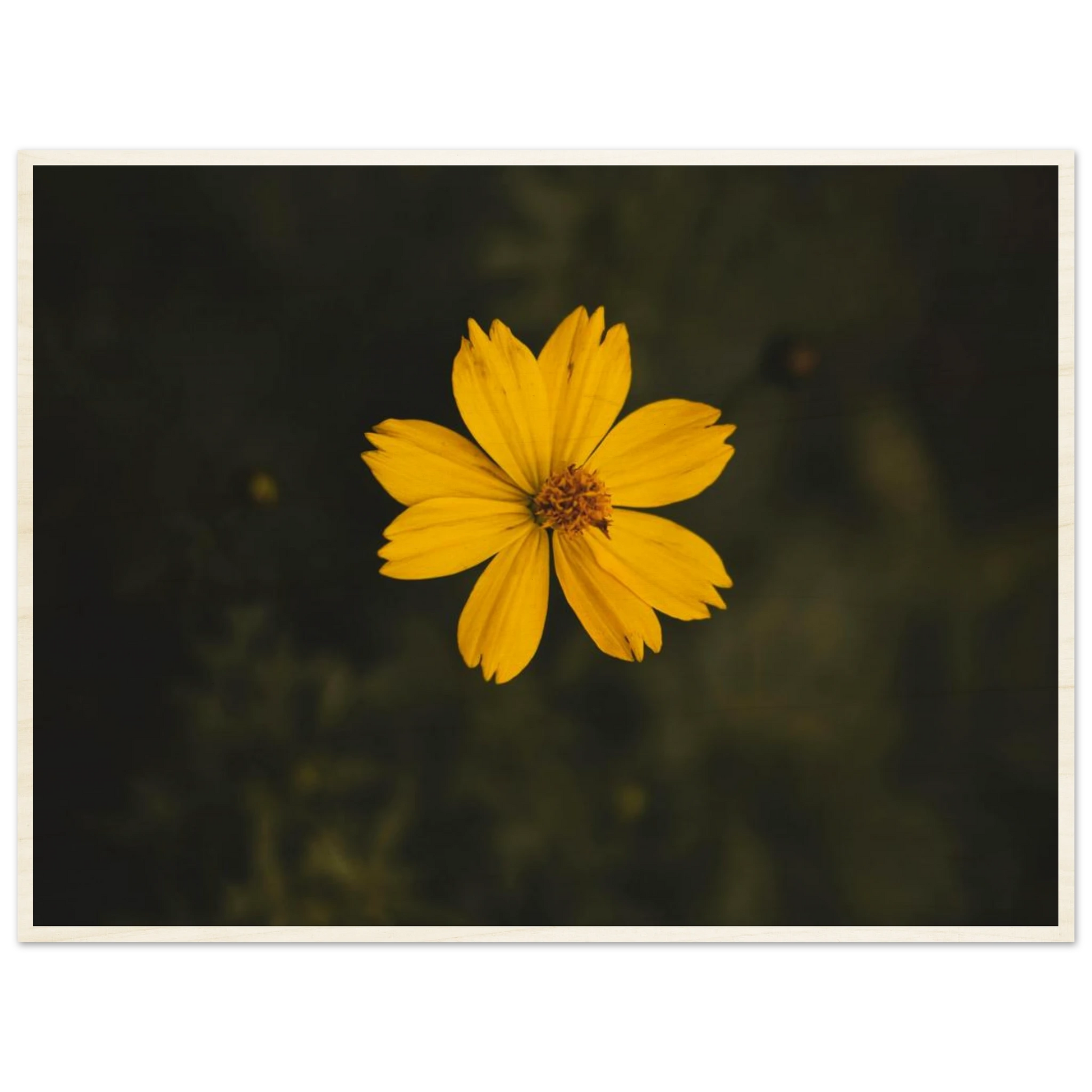 ff311f87-9b79-4fe7-a600-f03033e4a41b